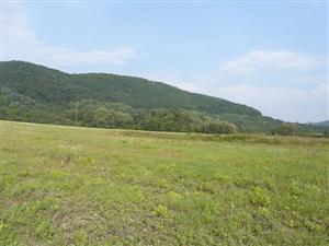 Pohľad na lúku v Žiari nad Hronom